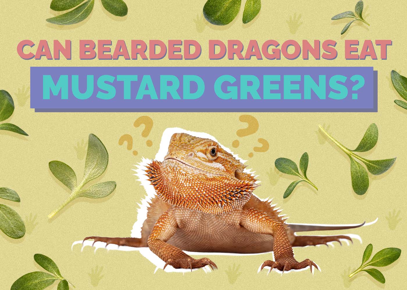 Can Bearded Dragons Eat Mustard Greens? Vet Approved Facts & FAQ