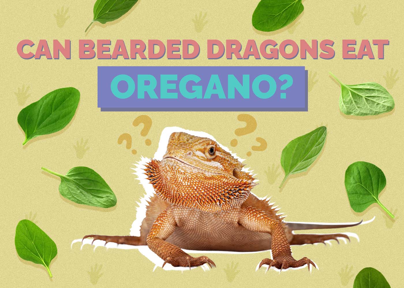 Can Bearded Dragons Eat Oregano? Vet-Reviewed Nutrition Facts & FAQ