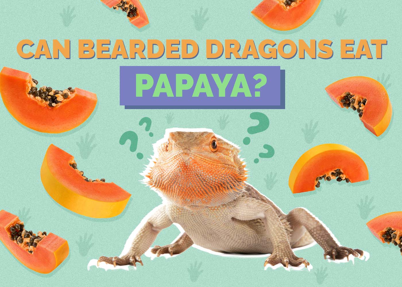 Can Bearded Dragons Eat Papaya? Vet-Reviewed Nutrition Facts & FAQ