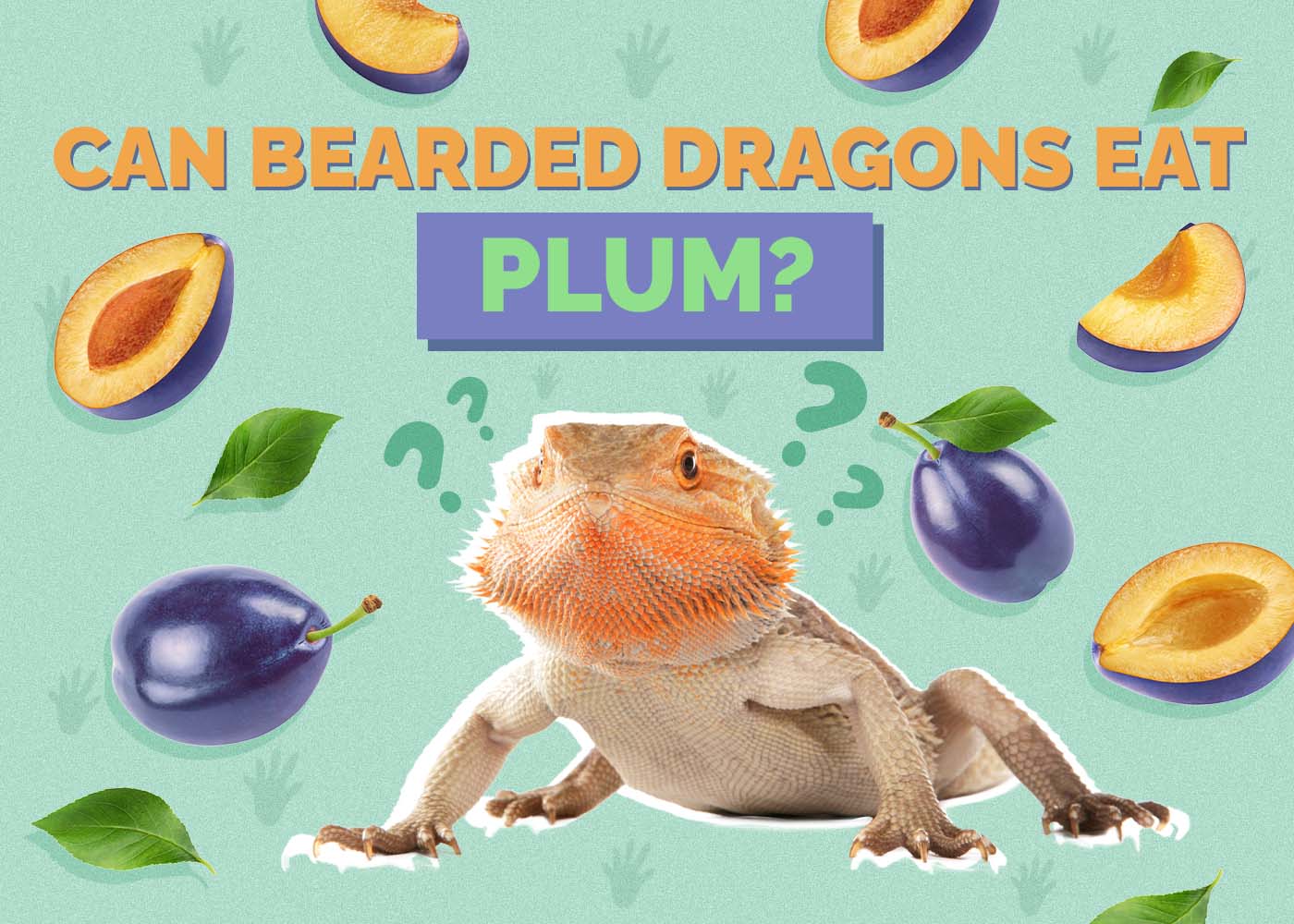 Can Bearded Dragons Eat Plum? Vet-Reviewed Nutritional Facts & FAQ