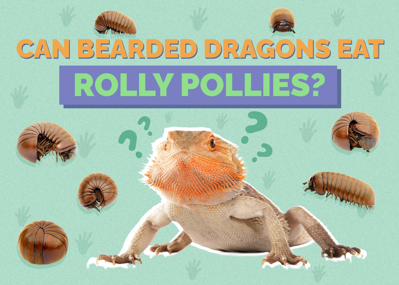 Can Bearded Dragons Eat Rolly Pollies? Vet-Approved Facts & Healthy Alternatives