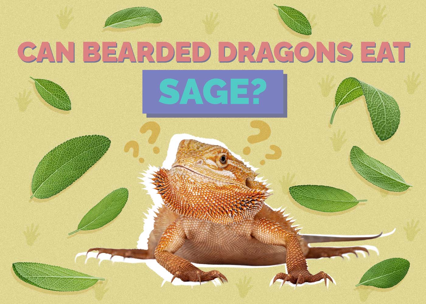 Can Bearded Dragons Eat Sage? Vet-Reviewed Nutrition Facts & FAQ