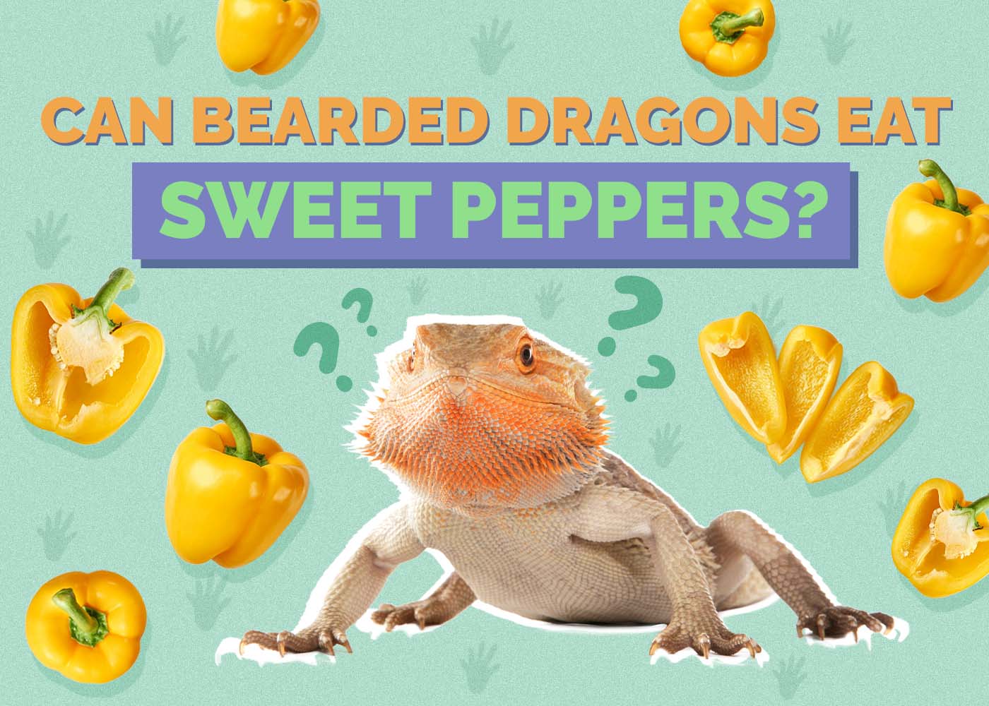 Can Bearded Dragons Eat Sweet Peppers? Vet-Reviewed Nutritional Facts & FAQ