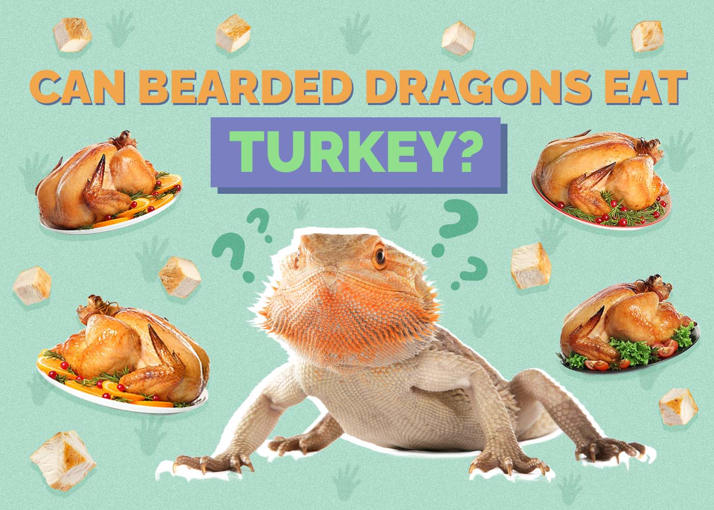 Can Bearded Dragons Eat Turkey? Vet-Approved Dietary Facts