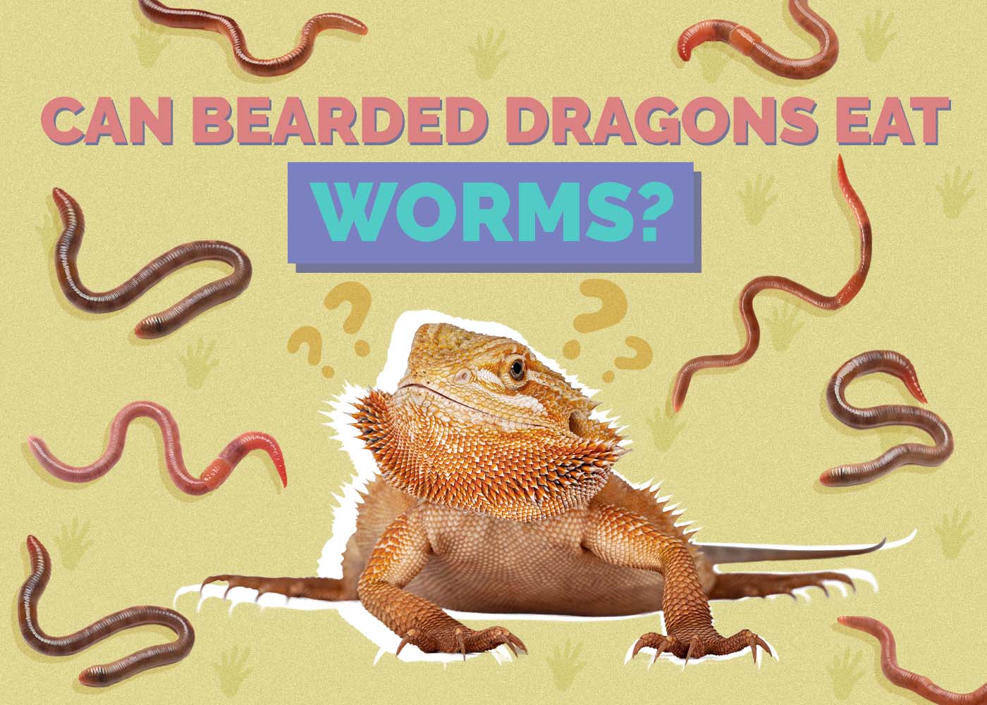 Can Bearded Dragons Eat Worms? Vet-Approved Facts & FAQ