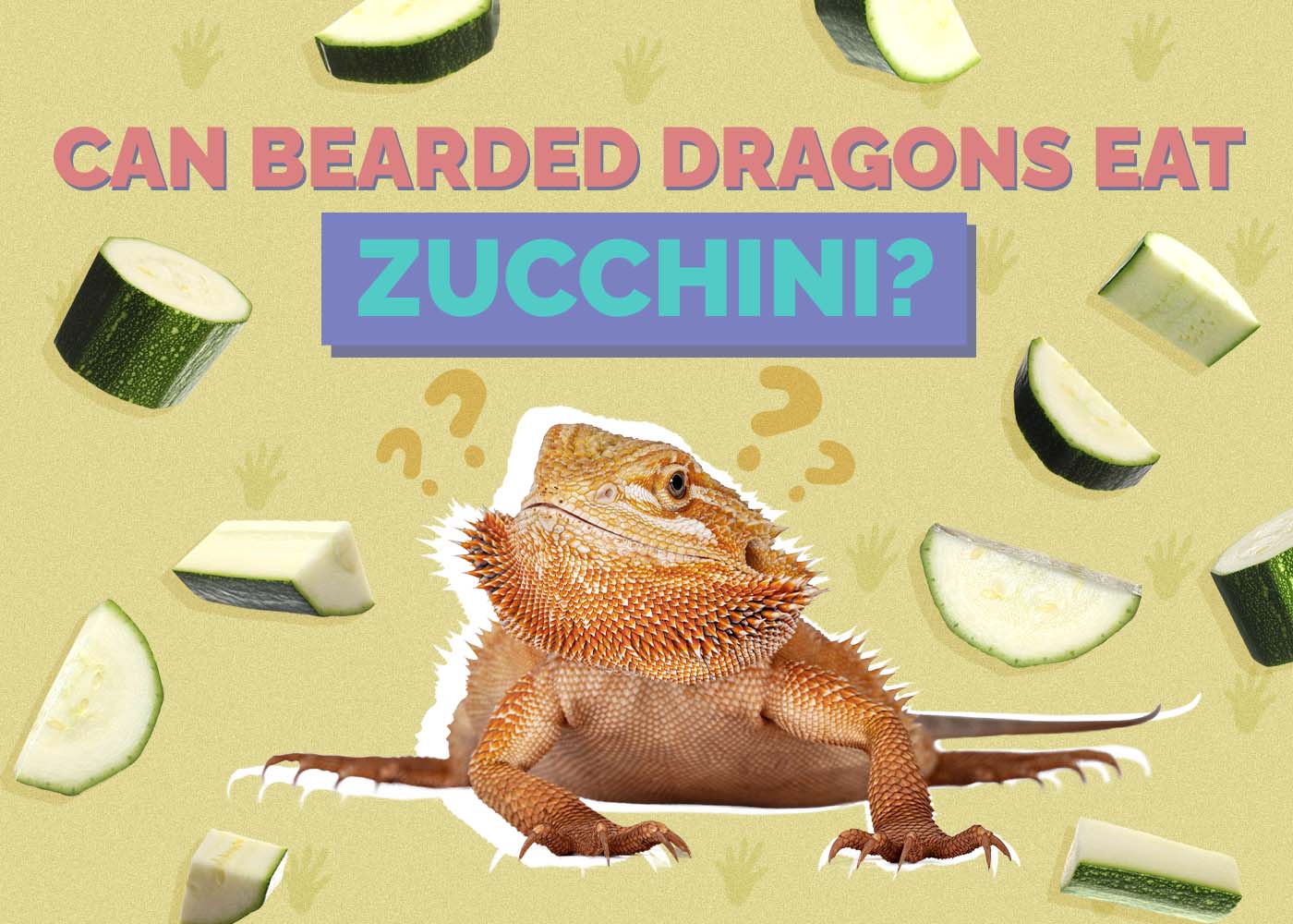 Can Bearded Dragons Eat Zucchini? Vet Approved Facts & FAQ
