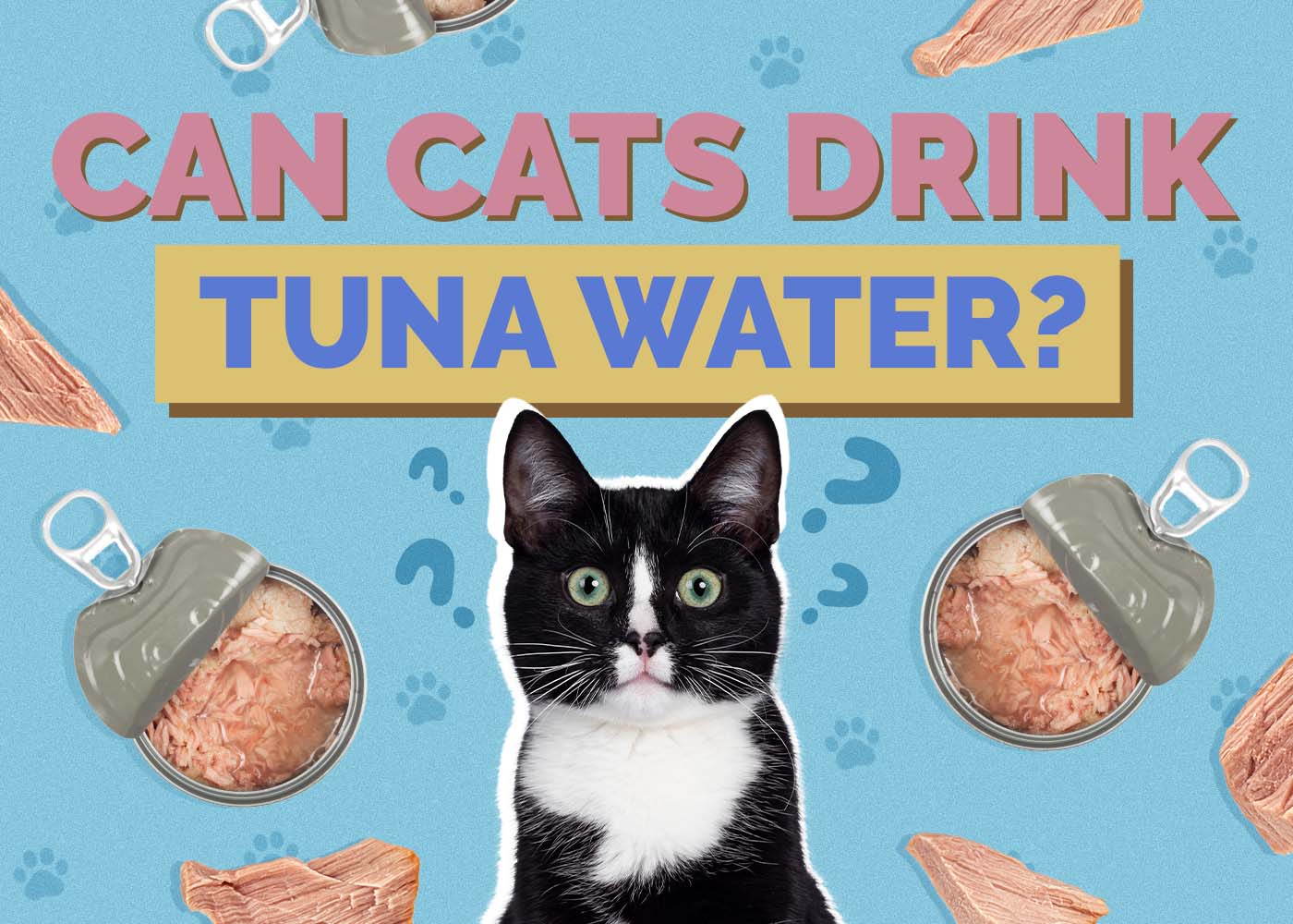 Can Cats Drink Tuna Water? Vet-Approved Nutritional Facts