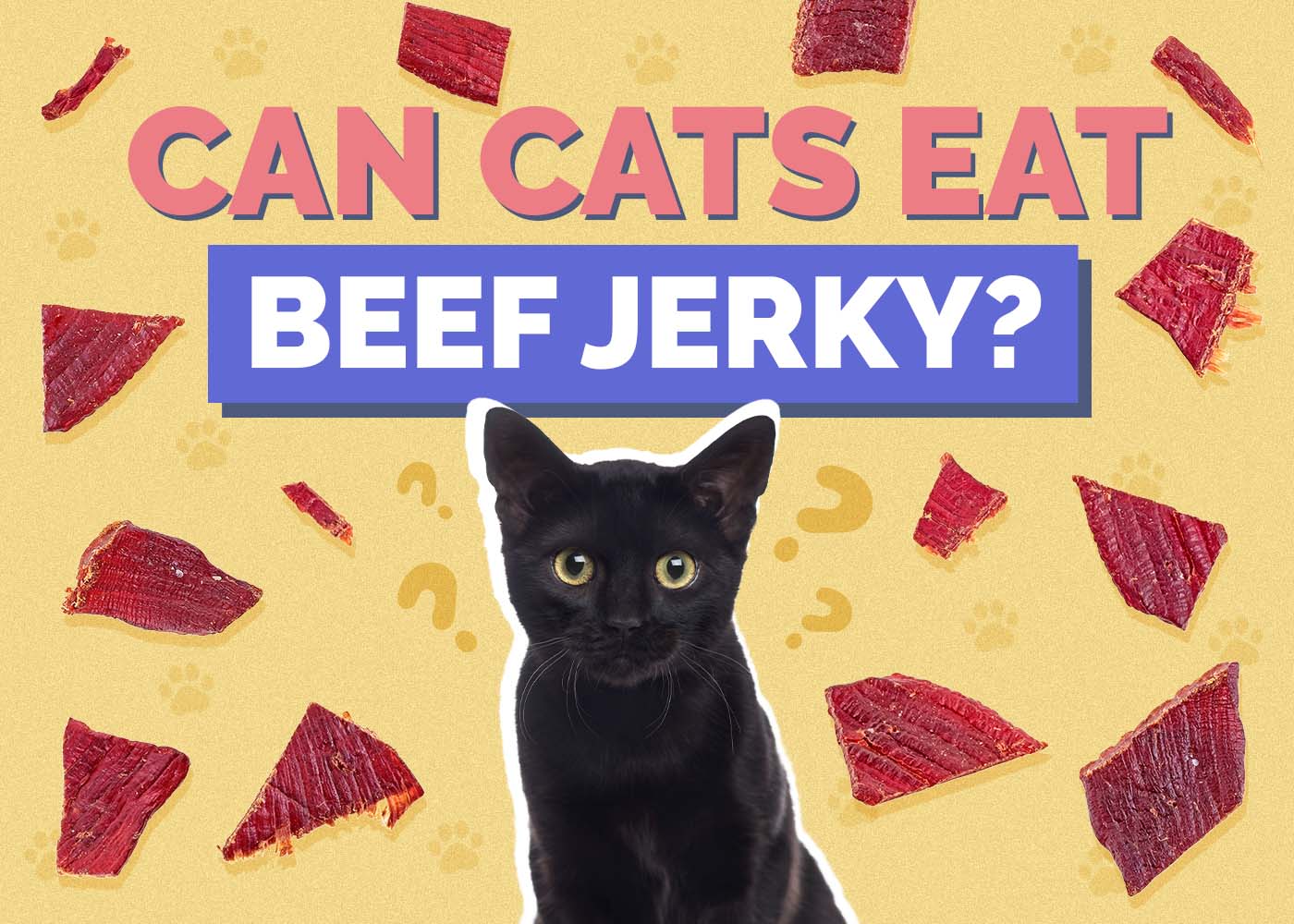 Can Cats Eat Beef Jerky? Vet Approved Facts & FAQ