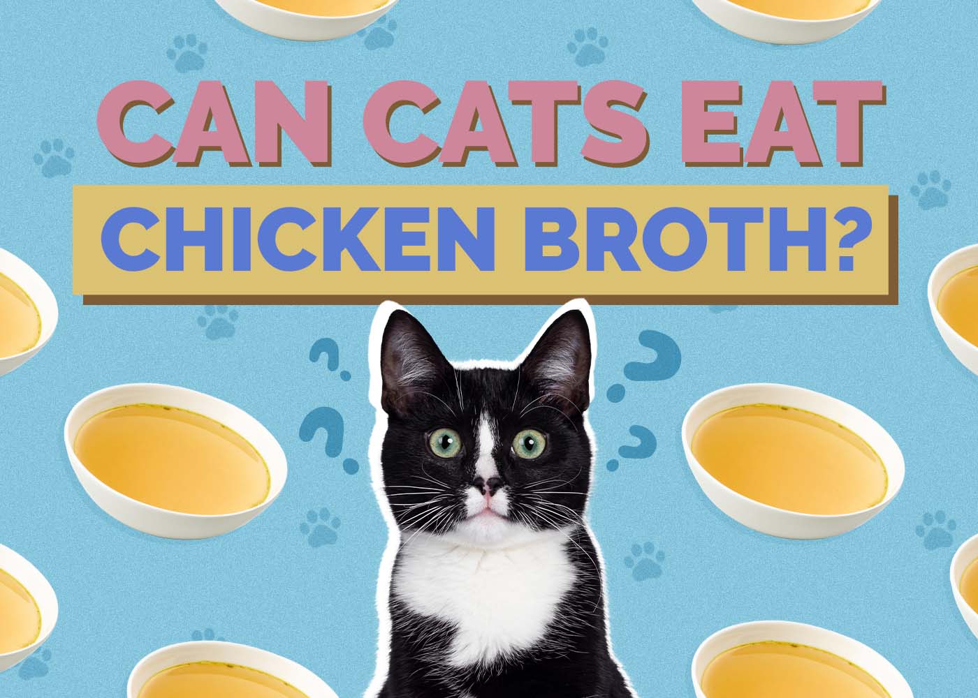 Can Cats Eat Chicken Broth? Vet Approved Facts & Safety Guide