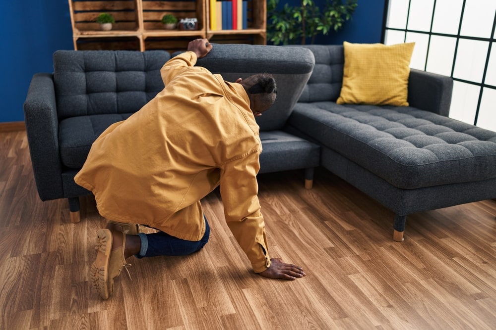 I Can’t Find My Cat Anywhere in the House: Useful Tips On What To Do