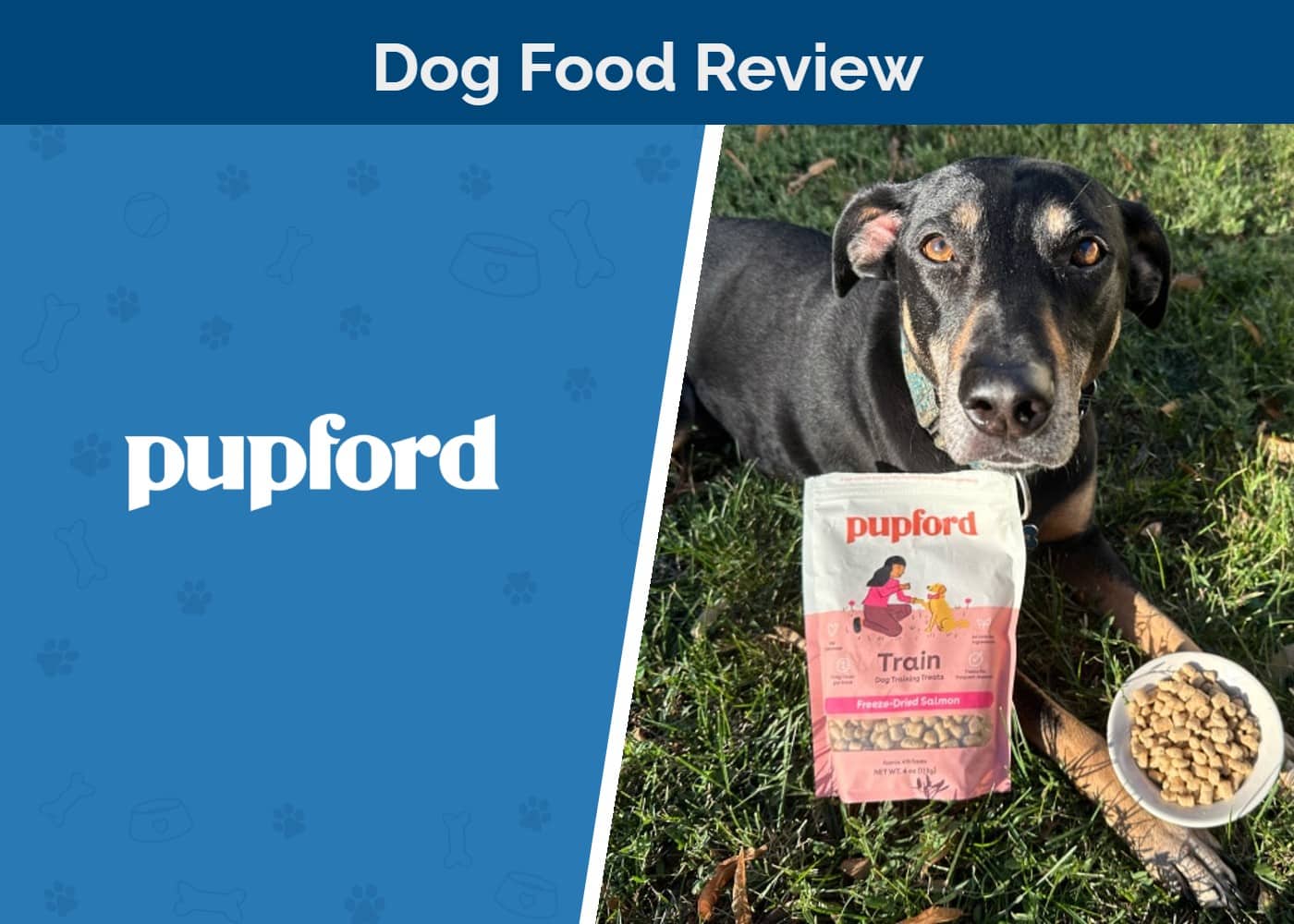 Pupford Training Treat Super Pack Review 2026: Our Vet's Opinion
