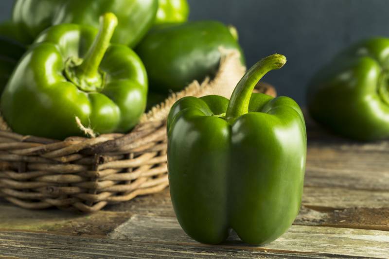 Can Bearded Dragons Eat Green Pepper? Vet-Verified Nutrition Facts & FAQ