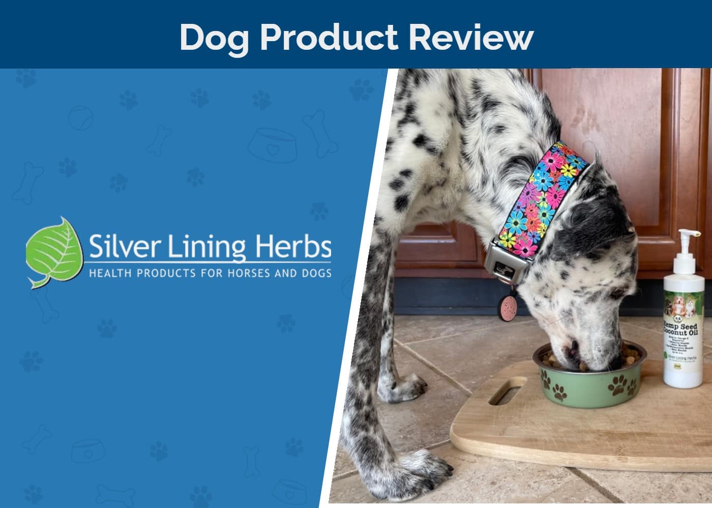 Silver Lining Herbs Dog Supplements Review 2026: Pros, Cons, & Verdict
