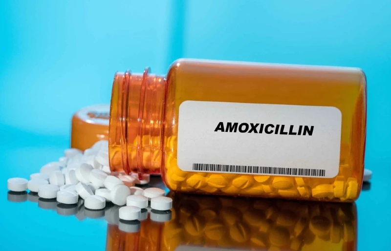 Amoxicillin for Cats: Uses, Dosage & Side Effects (Vet Answer)