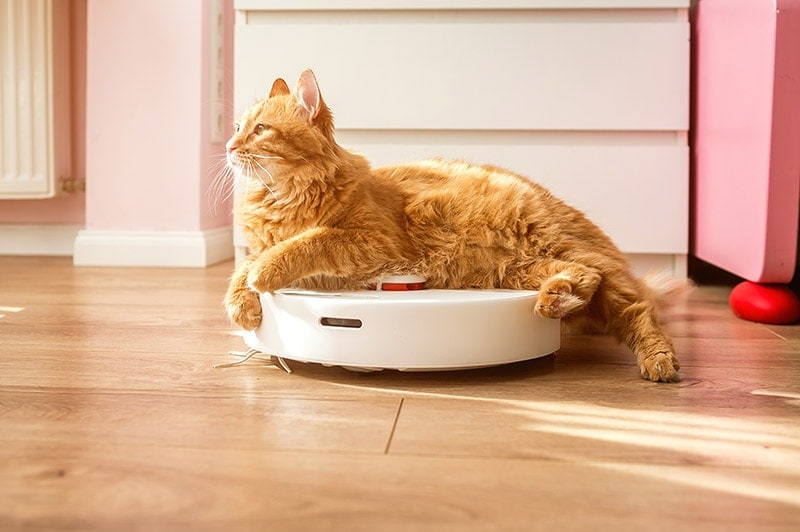 7 Best Robot Vacuums for Pet Hair in 2026 - Reviews & Top Picks