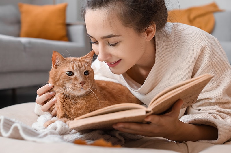 10 Greatest Cat Poems to Brighten Your Day