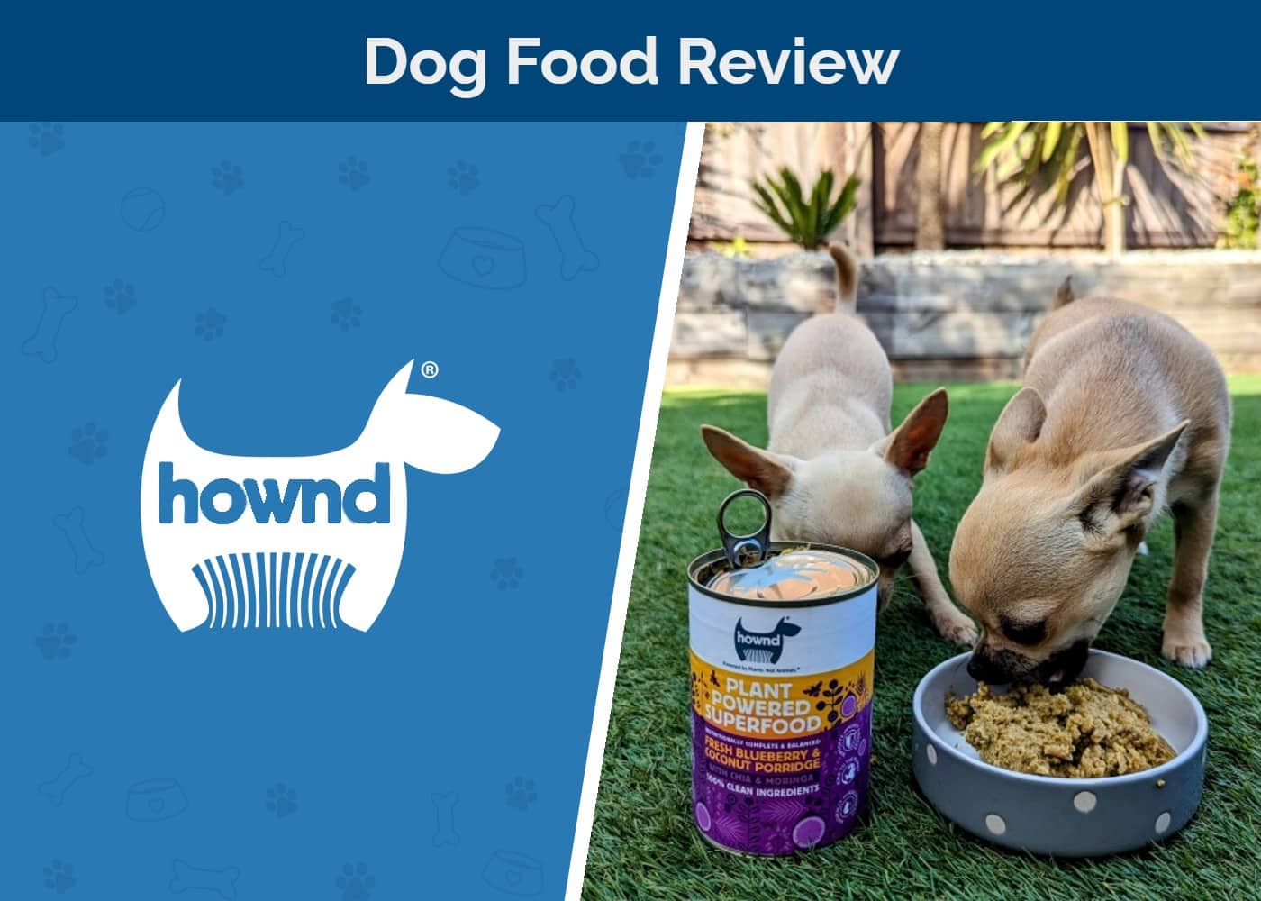 HOWND Plant Powered Dog Superfood Review 2026: Out Vet's Opinion