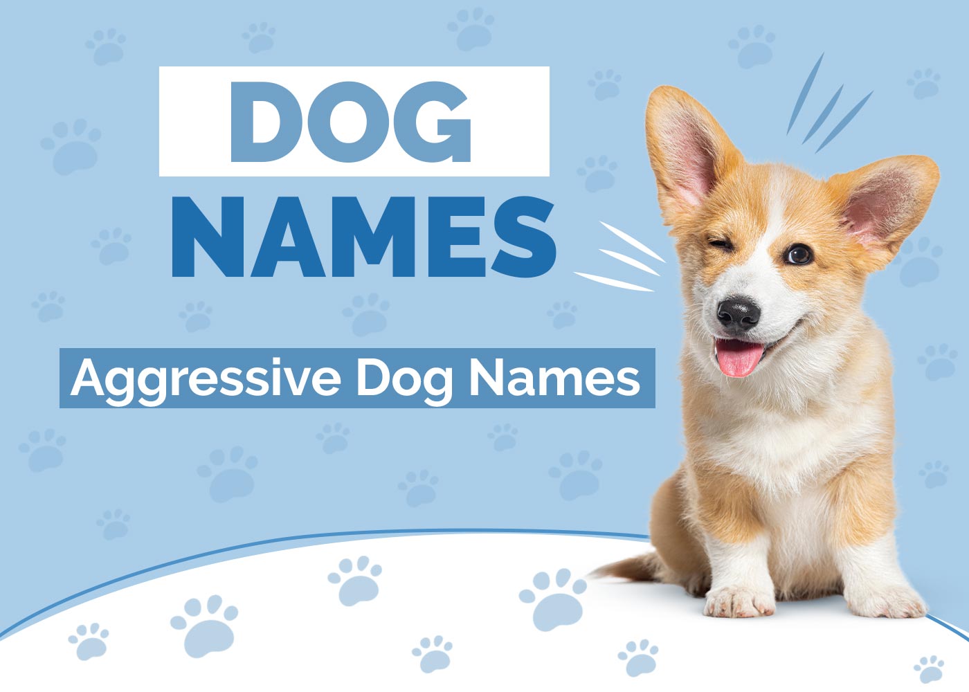 100+ Aggressive Dog Names: Ideas for Fierce & Combative Dogs