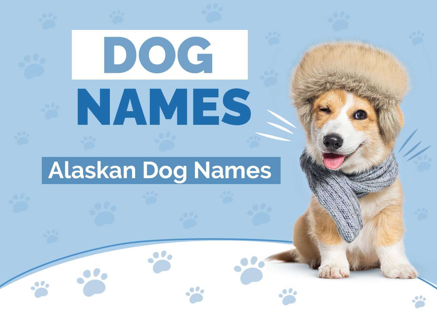 100+ Alaskan Dog Names: Ideas for Strong & Beautiful Dogs