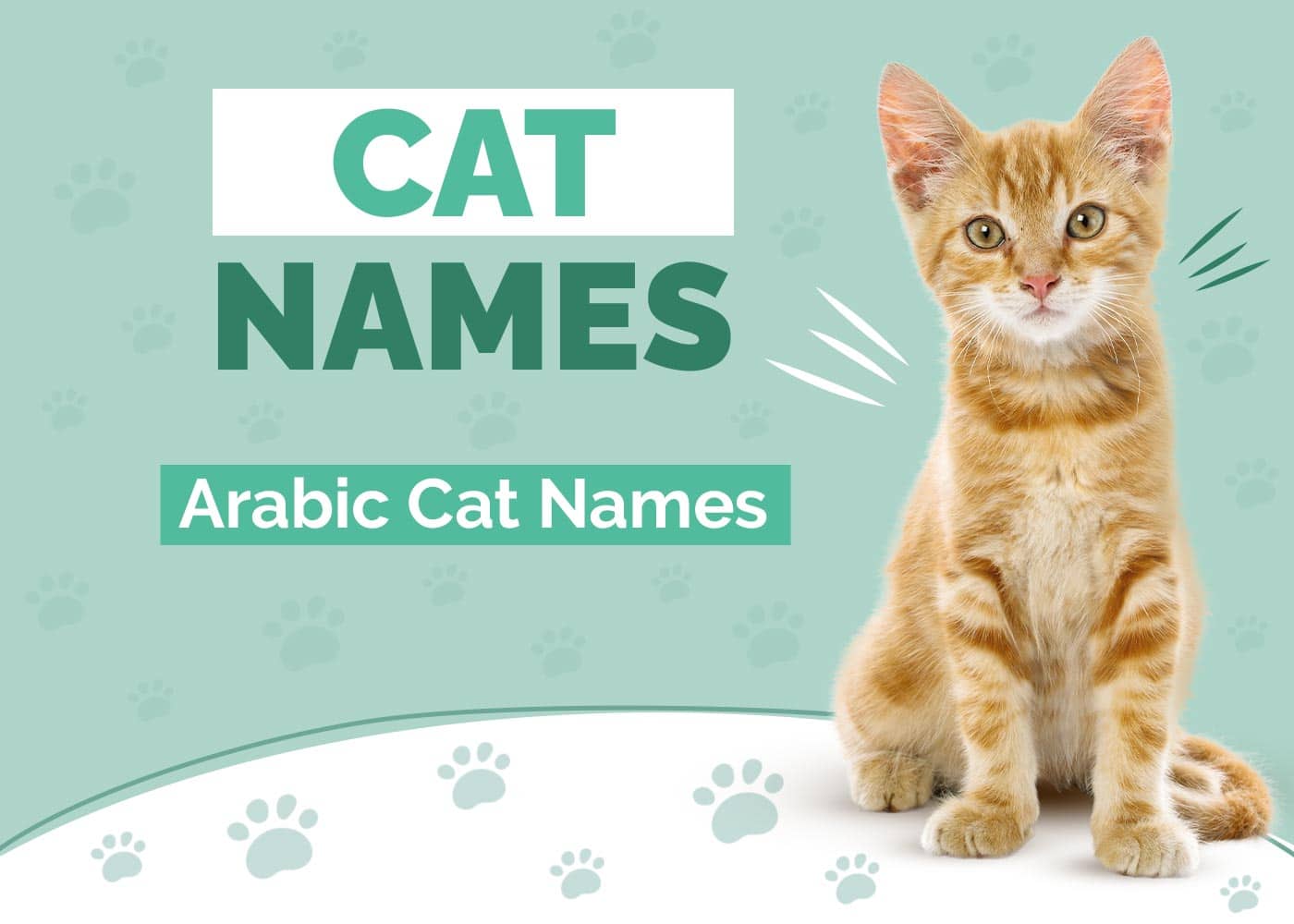 160+ Arabic Cat Names: Our Top Picks for Your Cat (With Meanings)