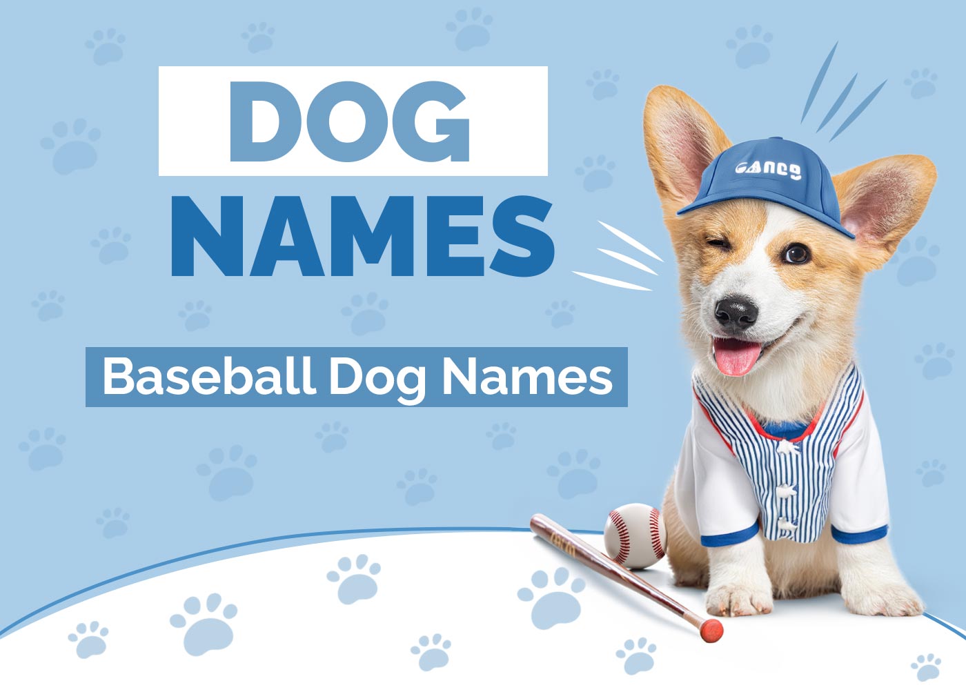 100+ Baseball Dog Names: Ideas for Home Running Dogs