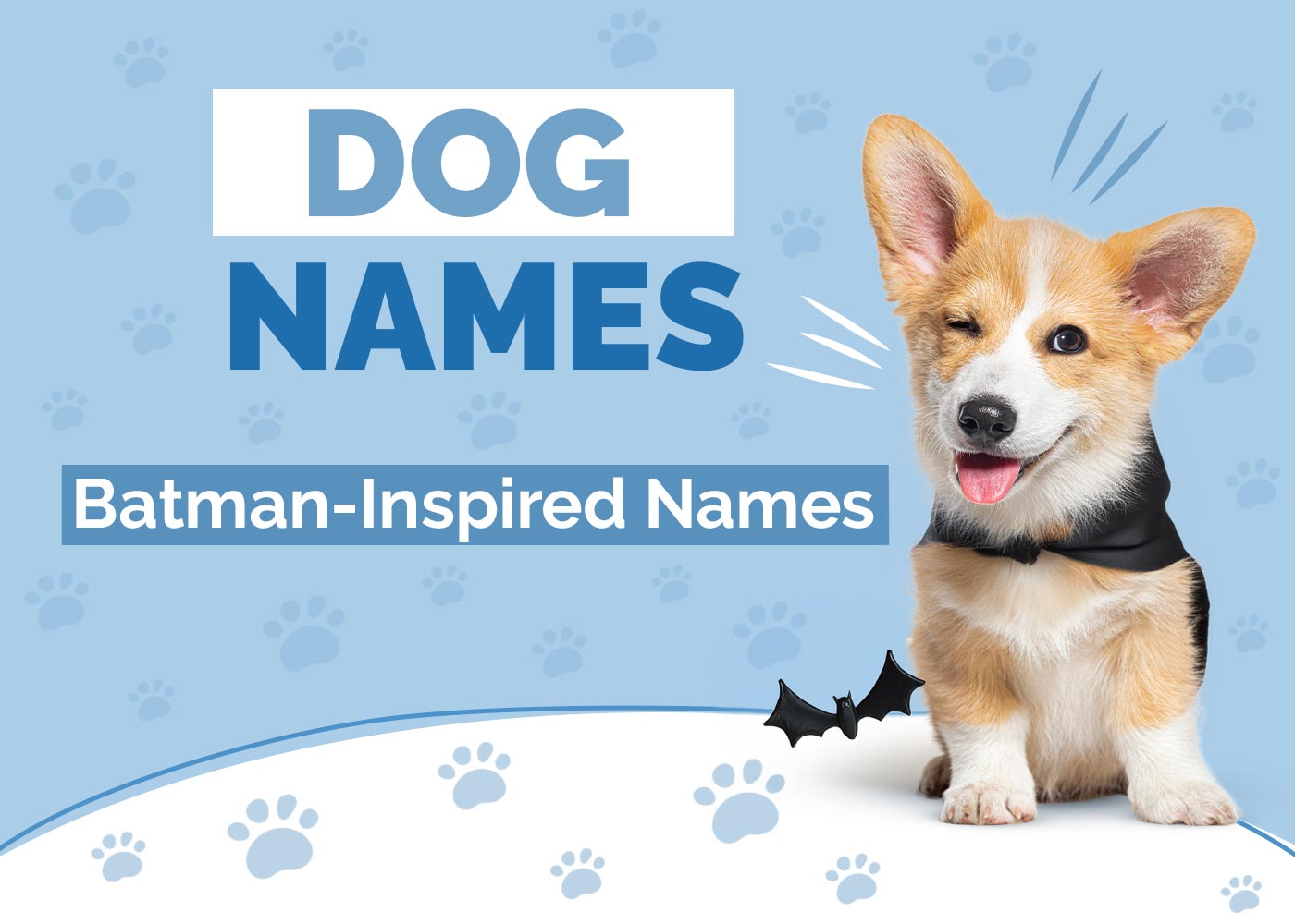 180 Batman-Inspired Dog Names for Your Awesome Pup