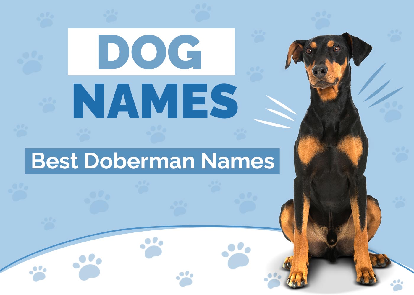100+ Doberman Names: Strong, Fierce & Powerful Name Ideas