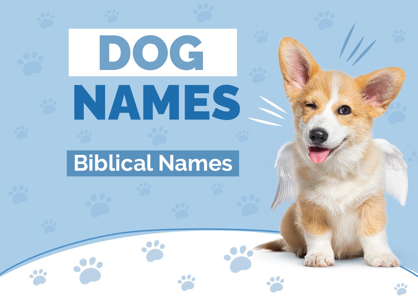 100+ Biblical Dog Names: Ideas for Devoted & Pure Pets
