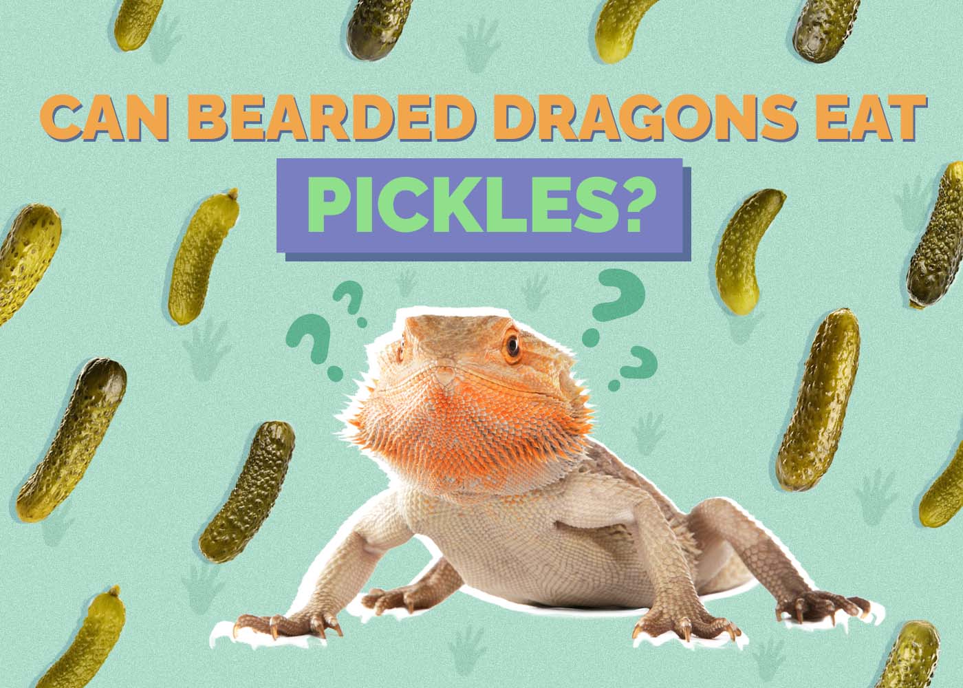 Can Bearded Dragons Eat Pickles? Vet-Approved Risks & FAQ