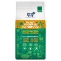 Plant Powered Superfood with Organic Hemp Protein & Moringa