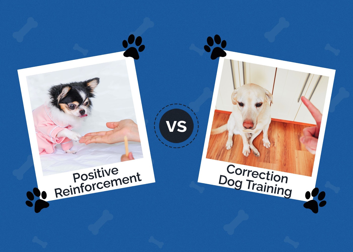 Positive Reinforcement vs. Correction Dog Training Methods: Key Differences