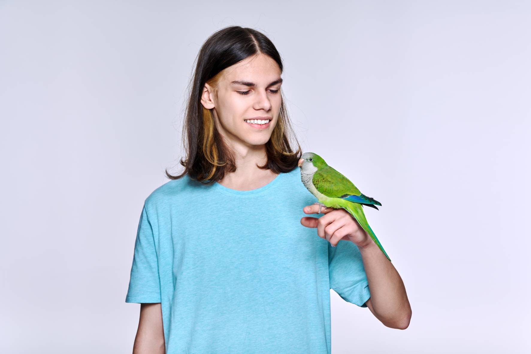 How to Teach a Parrot to Talk: 7 Vet-Reviewed Steps