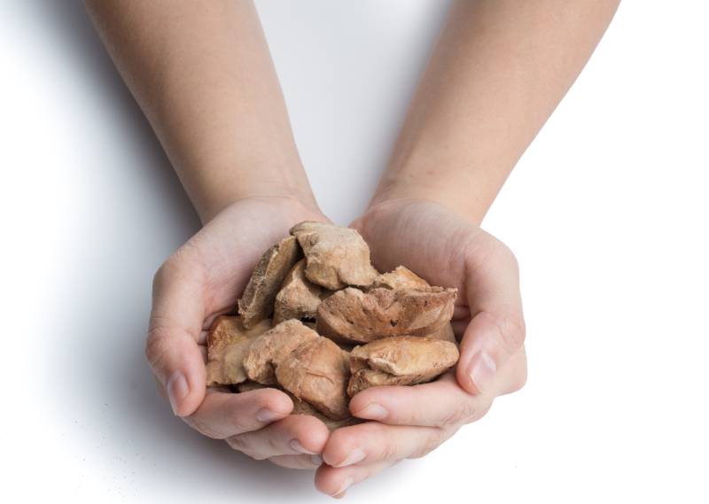 dried freeze dog treat on white background