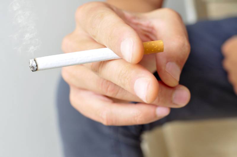 Secondhand Smoke in Dogs: Is It Safe? Vet Approved Advice