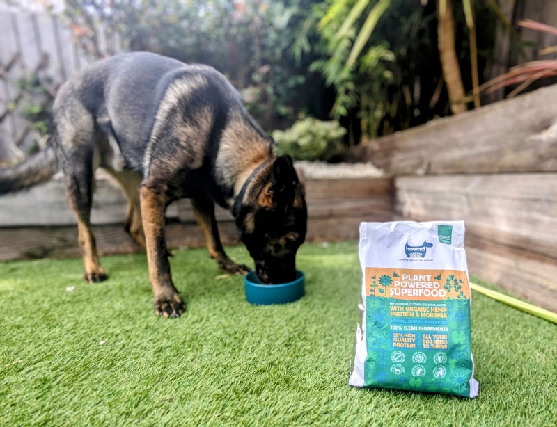 kodah eating unleash your hownd plant powered superfood dry dog food