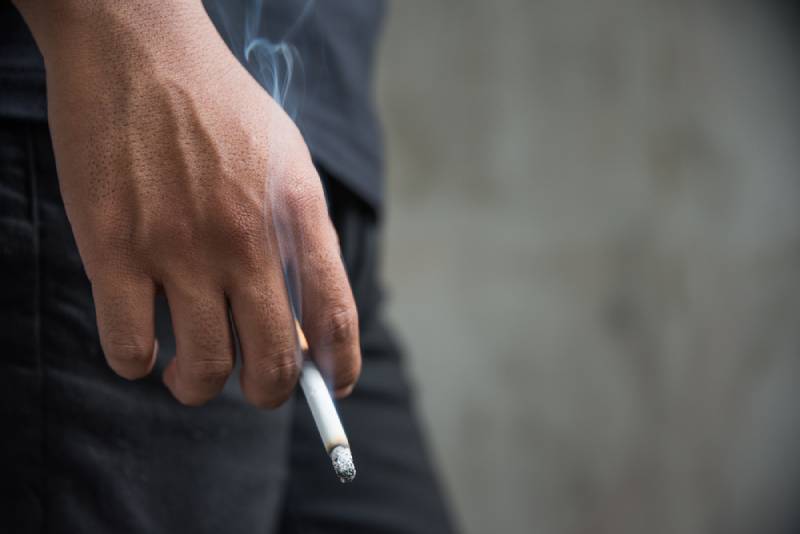 How Does Smoking Affect Cats? Vet Approved Advice & FAQ