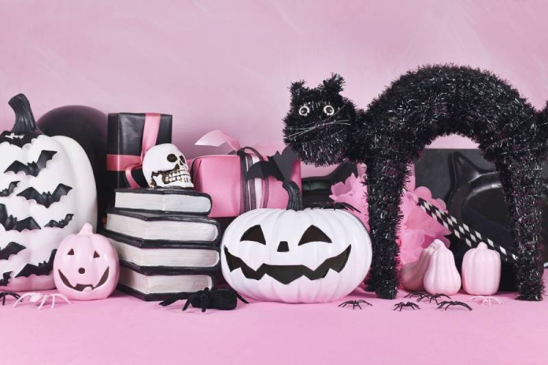 What Can I Do With My Cat on Halloween? 8 Vet Approved Tips to Ensure Their Safety