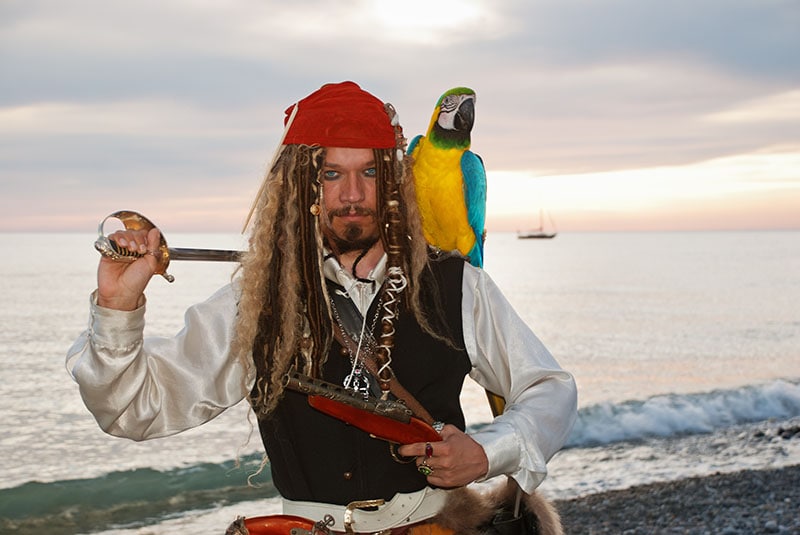 Why Do Pirates Have Parrots? Historical Facts & FAQ