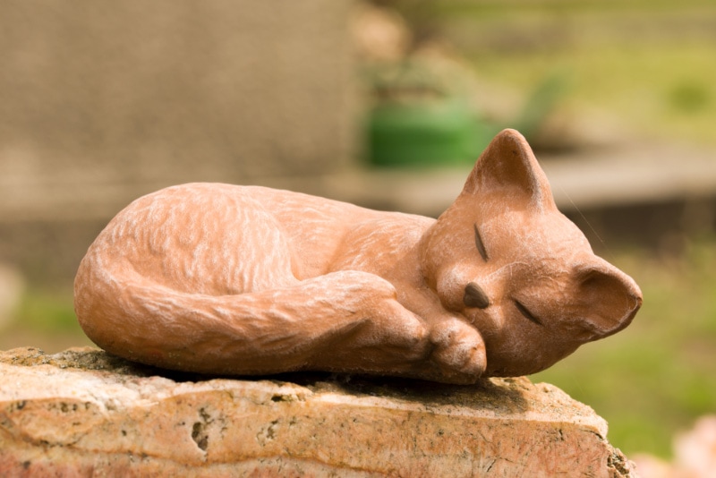 National Pet Memorial Day 2026: When & What It Is