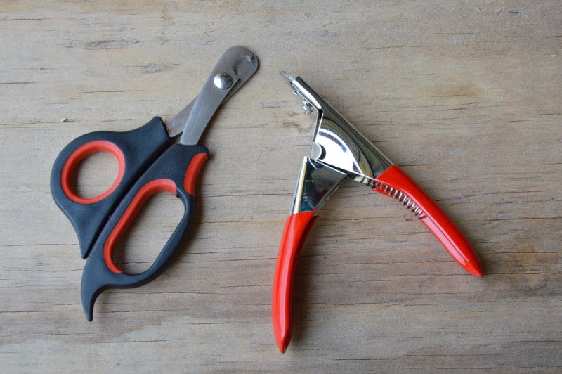 How to Sharpen Dog Nail Clippers in 10 Simple Steps