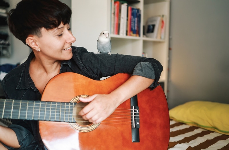 Do Parrots Like Music? Vet-Reviewed Science