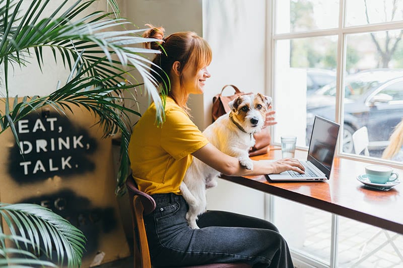 15 Dog-Friendly Restaurants and Chains in 2026