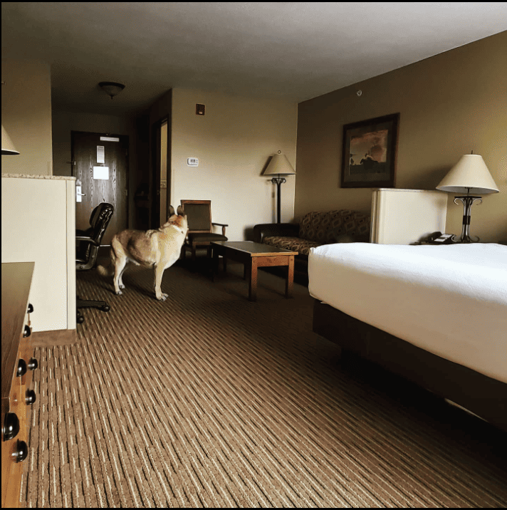 Best Western Plus Kelly Inn & Suites Billings_zimm_84