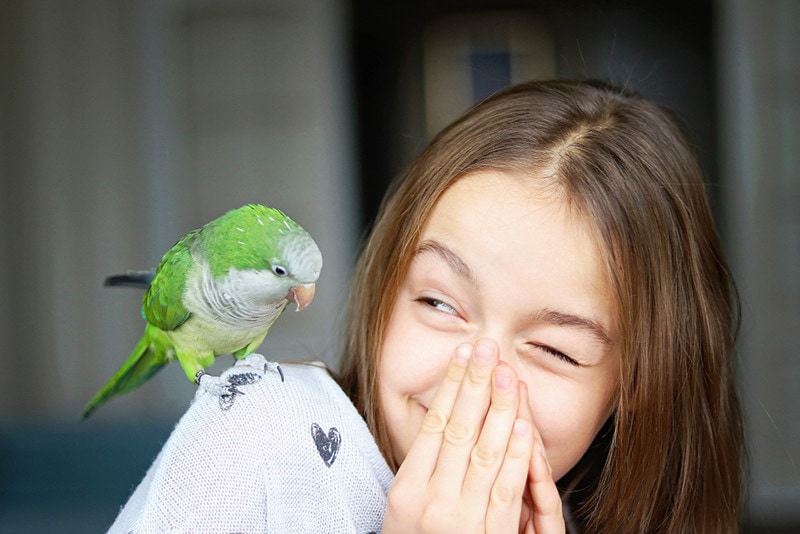 Are Parakeets Smart? What Science Says