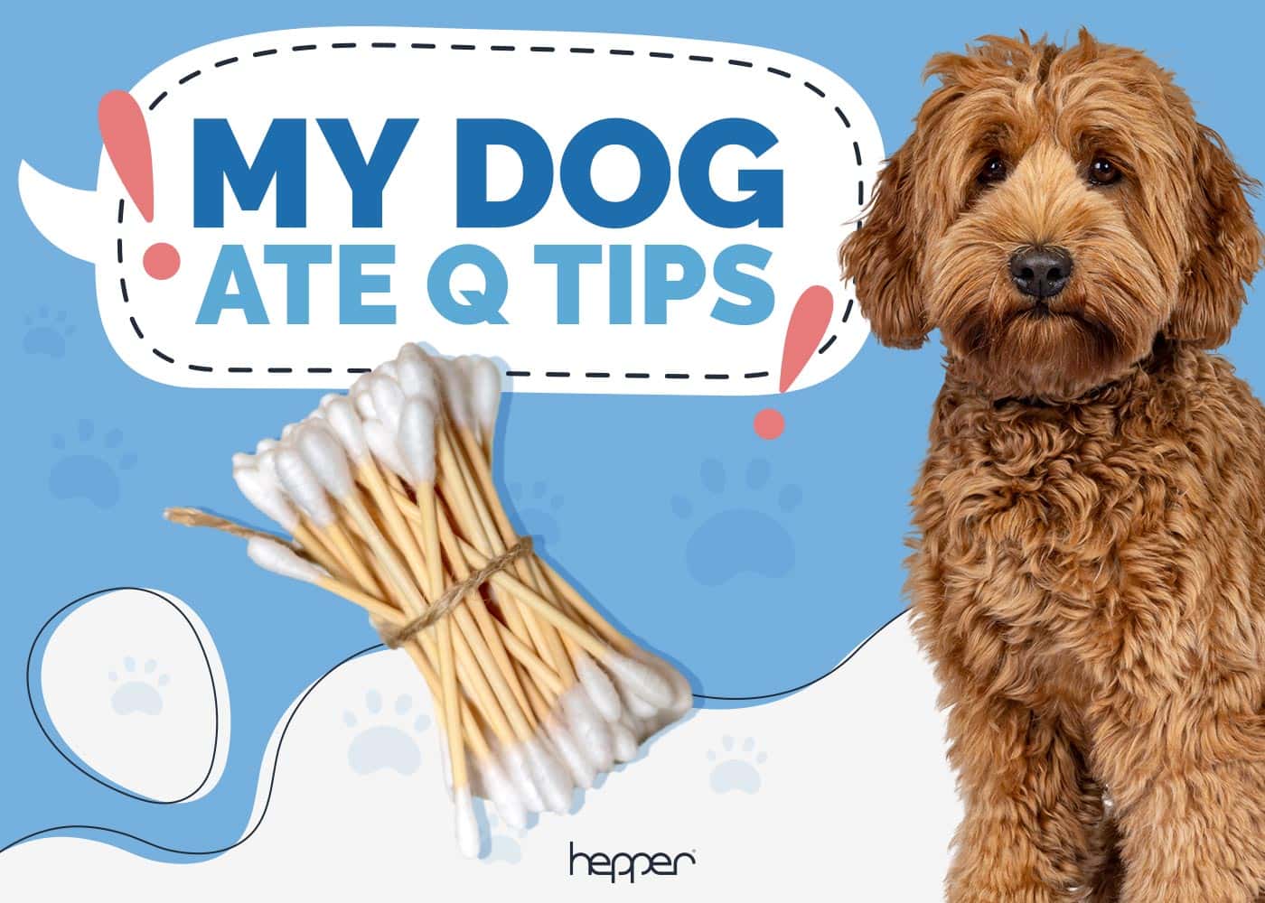 My Dog Ate a Q-Tip