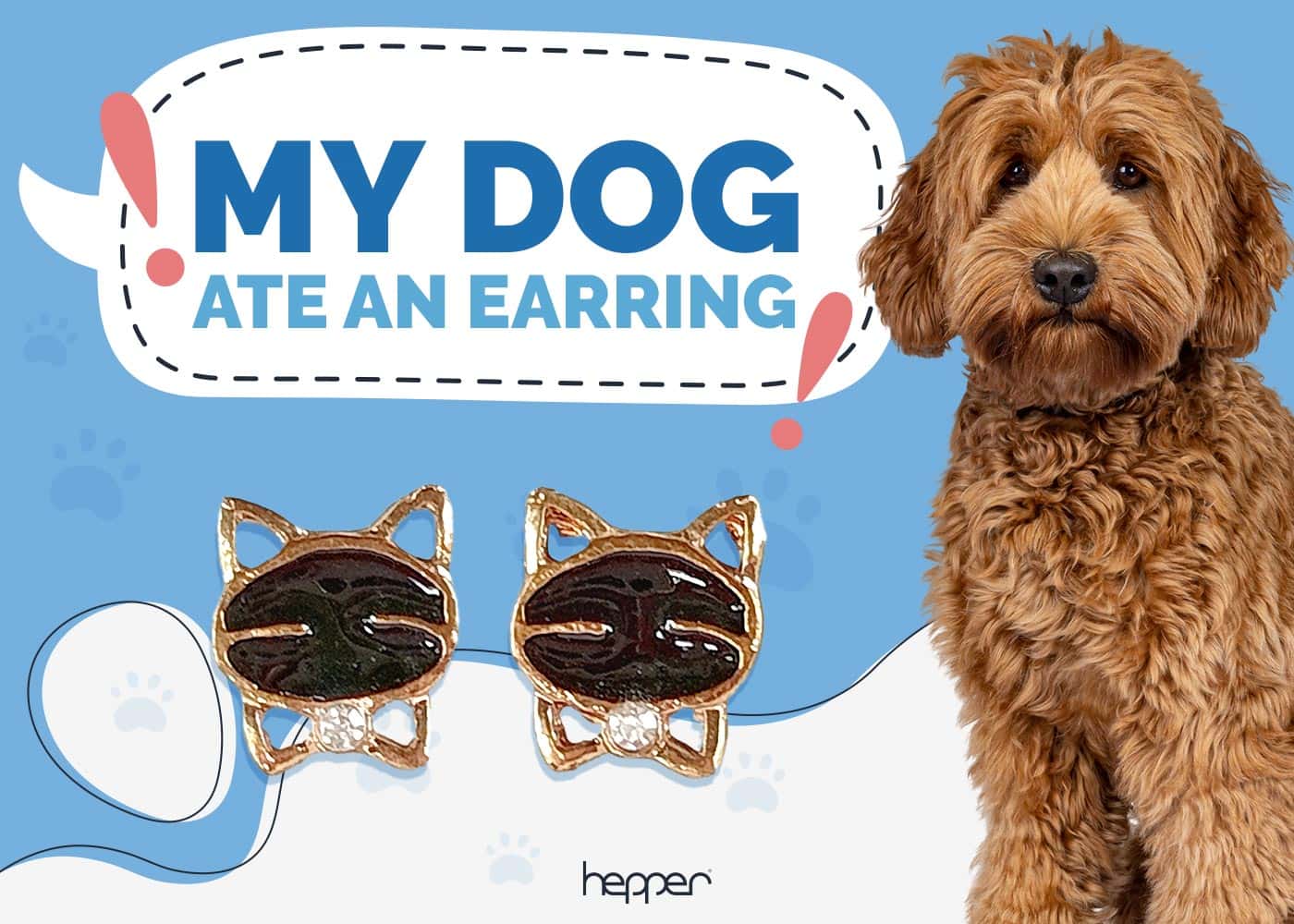 My Dog Ate an Earring: Here’s What to Do (Vet Answer)