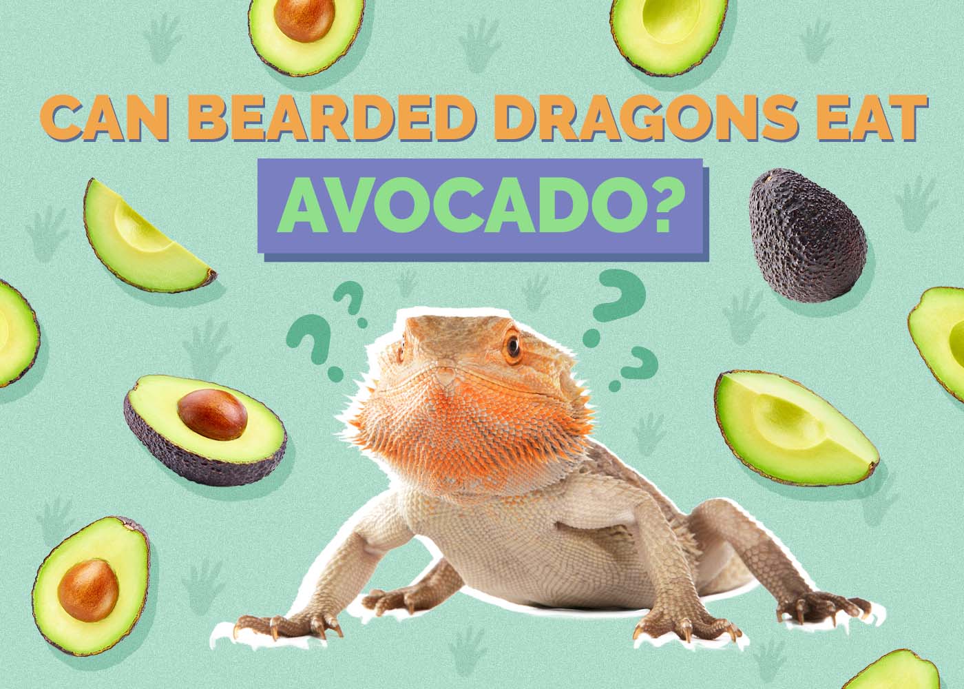 Can Bearded Dragons Eat Avocado? Vet Approved Nutrition Facts & FAQ