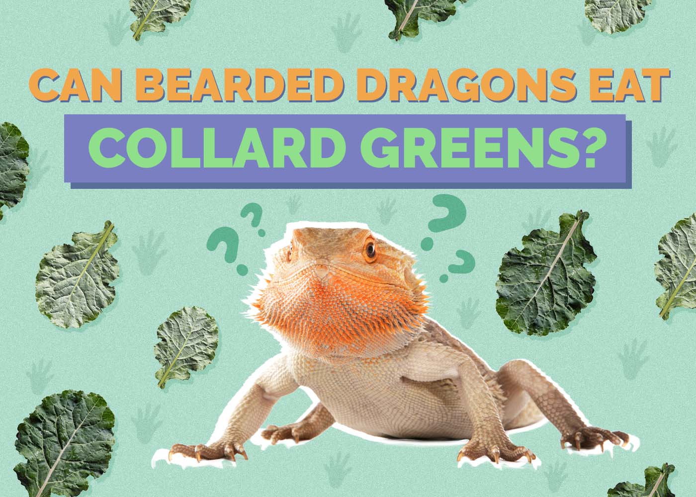 Can Bearded Dragons Eat Collard Greens? Vet-Reviewed Diet Facts & FAQ