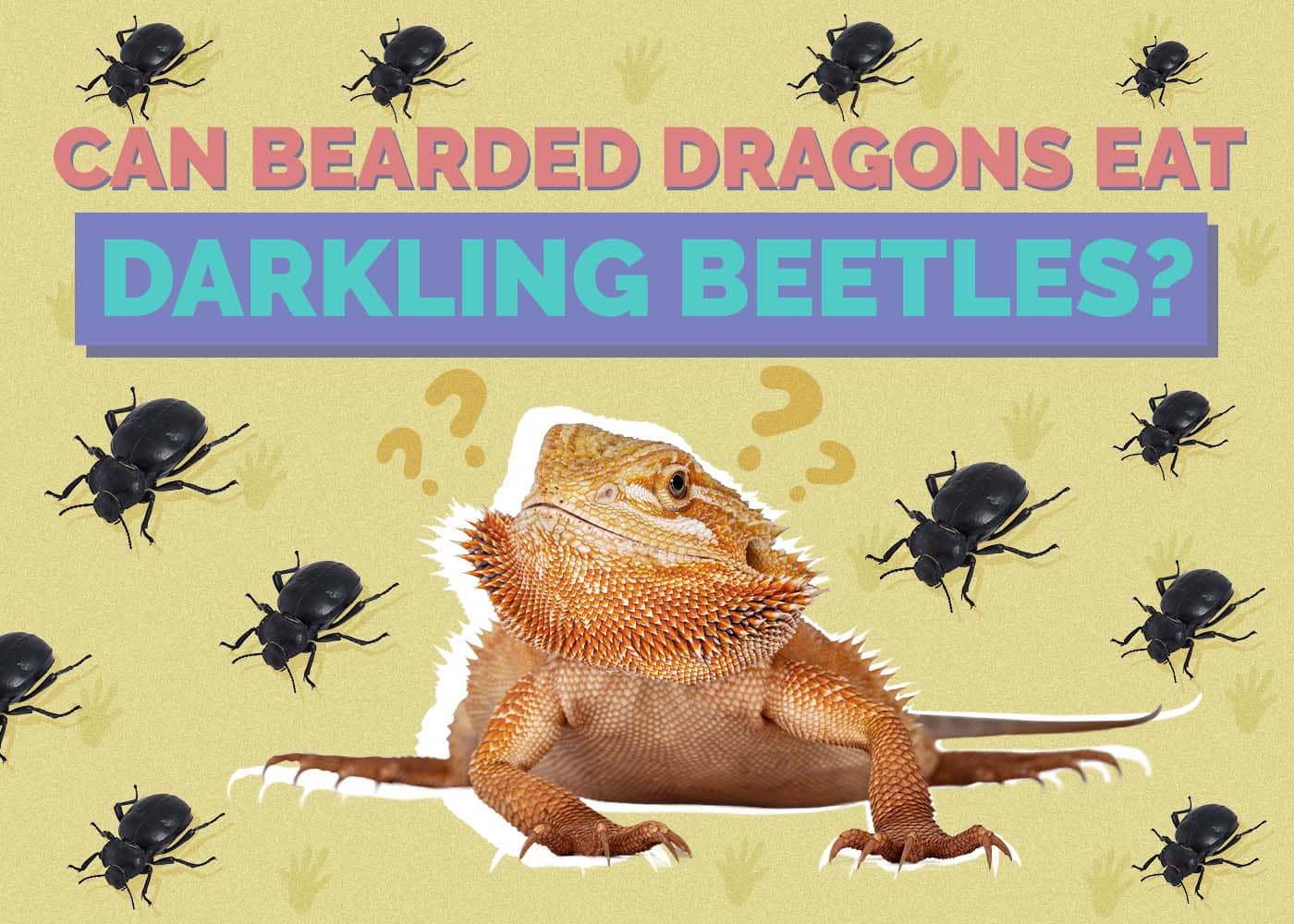Can Bearded Dragons Eat Darkling Beetles? Vet-Verified Diet Facts & FAQ