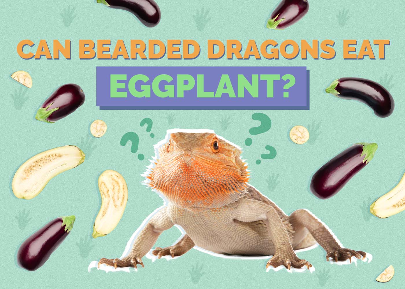 Can Bearded Dragons Eat Eggplant? Vet-Reviewed Nutritional Facts & FAQ